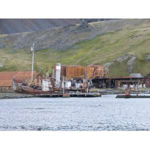  Old Whaling Station, Grytviken, South Georgia, South Atlantic 