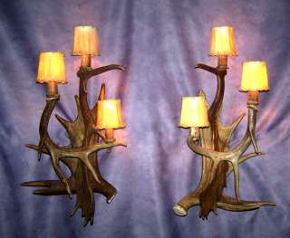REAL ANTLER FALLOW MOOSE WALL SCONCE 3 LIGHT CHANDELIER  