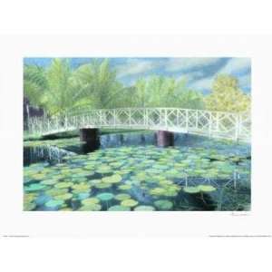  Water Lilies Poster Print
