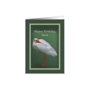  Birthday, Aunt, White Ibis Bird Card Health & Personal 