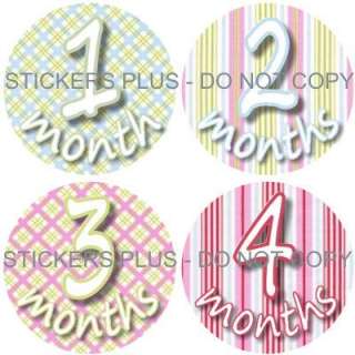 Baby Girl Argyle Monthly Onesie Number Picture Stickers  