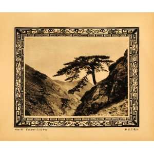  1930 Photogravure Tai Shan Lone Pine China Holy Mountain 