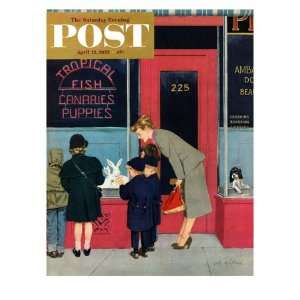  Bunnies for Sale Saturday Evening Post Cover, April 12 