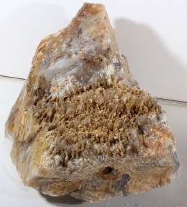 KILLER 16.7 lb GRAVEYARD PLUME AGATE lapidary rough  