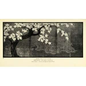  1935 Print Cherry Tree Bloom Blossom Kano Botanical 