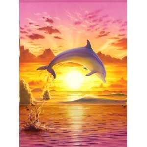  Sunset Dolphin 1000 Piece Jigsaw Puzzle Toys & Games