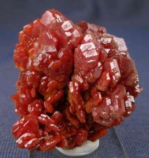 CANDY RED VANADINITE CRYSTAL FLOWER, MIBLADEN, MOROCCO  