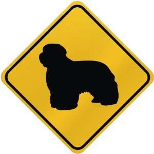    ONLY  BEARDED COLLIE  CROSSING SIGN DOG: Home Improvement