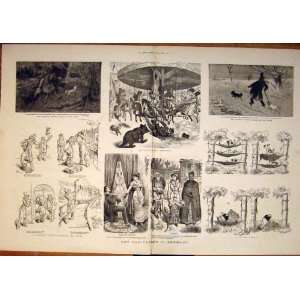Art Caricature Germany Sketches Lyric Toper Print 1882:  