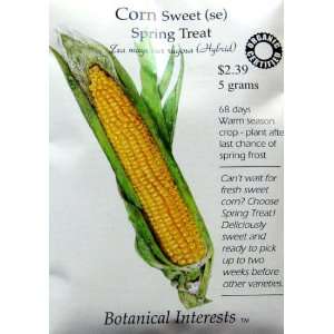    Organic Sweet Corn Seeds Spring Treat: Patio, Lawn & Garden