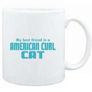   White  MY BEST FRIEND IS a American Curl  Cats