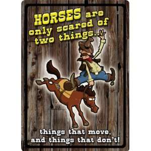  12 X 17 Tin Sign, Horses Are Only Scared of Two Things 