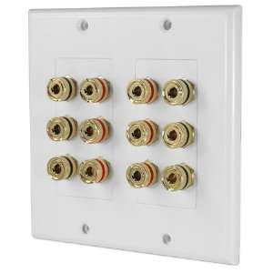  WP12 Terminal Decora Wall Plate 5.1 System: Electronics