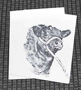 Black Angus Cow Pencil Drawing Stationary Note Card VTG  