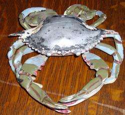 BLUE CRAB SHAPED INK WELL PAINTED CAST ALUMINUM  