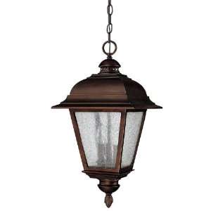  Brookwood Outdoor Hanging Lantern in Burnished Bronze Bulb 