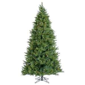  12 x 70 Butte Mixed Pine 2350 Clear Lights 5060T: Home 