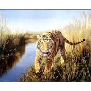    Tiger In The Indian Sunderbans Poster Print