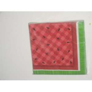  Summertime Watermelon Beverage Napkins Toys & Games