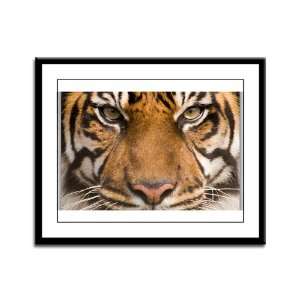  Framed Panel Print Sumatran Tiger Face: Everything Else