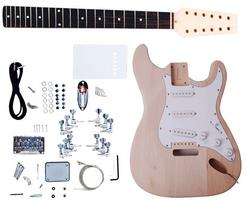   STRAT STYLE ELECTRIC GUITAR LUTHIER BUILDER KIT   BYO PROJECT  