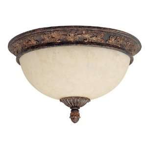   Capital Lighting Forest Lake Collection lighting: Home Improvement