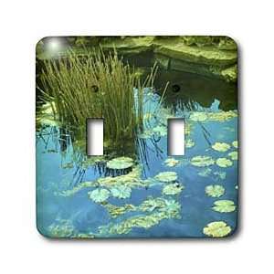 Florene Water Landscape   Peaceful Pond   Light Switch Covers   double 