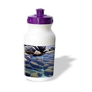 Paul Honatke Photography Lake Tahoe   Tahoe Stillwater   Water Bottles