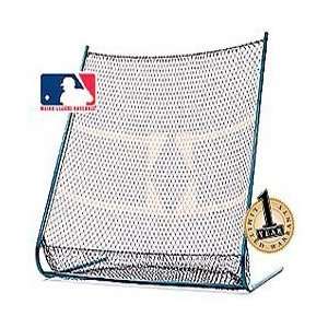  ATEC Catch Net For Baseball/Softball
