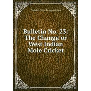 Bulletin No. 23 The Changa or West Indian Mole Cricket Puerto Rico 