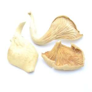 Mushroom House Dried Mushrooms, Oyster Grocery & Gourmet Food