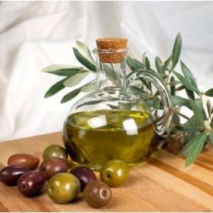 Olive Leaf Botanical Extract 8 Oz  Grocery & Gourmet Food