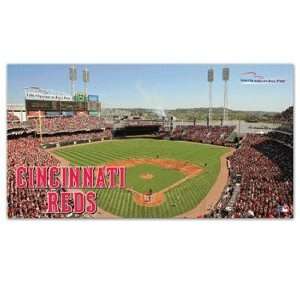 MLB Cincinnati Reds Mat   Stadium Style:  Sports & Outdoors
