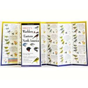  Sibleys Warblers of Eastern N (Books) 