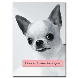  A Little Work Chihuahua Birthday Card Health & Personal 