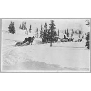 Transportation by horses,sleighs 