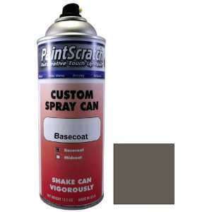  12.5 Oz. Spray Can of Slate Gray (matt) Touch Up Paint for 