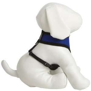  Four Paws Comfort Control Harness   Blue   Small (Quantity 