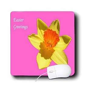 Easter   Daffodil   Daffodil   daffodilflowers, jonquils, daffodils 