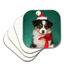  Aussie Australian Shepherd Dog Holiday Set of 4 Coasters 