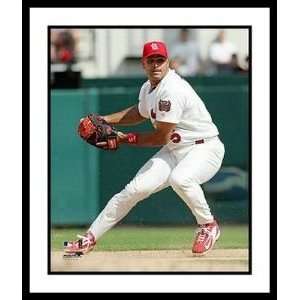  Albert Pujols St Louis Cardinals MLB Framed 8x10 