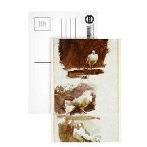  Doves (w/c on paper) by Helen Allingham   Postcard (Pack 