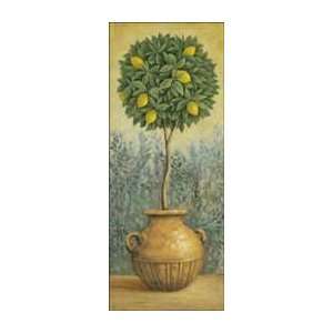   Poster Print   Lemon Topiary   Artist John Park  Poster Size 16 X 40