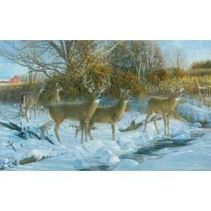  Ron Van Gilder   Early Snow   Whitetail Deer