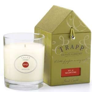   (No. 37) 5 oz. Medium Poured Candle by Trapp Candles: Home & Kitchen
