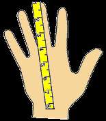 measure from the tip of the middle finger to the base of the hand