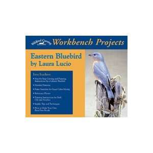  Workbench Projects Eastern Bluebird Book Toys & Games