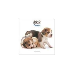  THE DOG Artlist 2010 Mini Beagle Wall Calendar 6 x 6 
