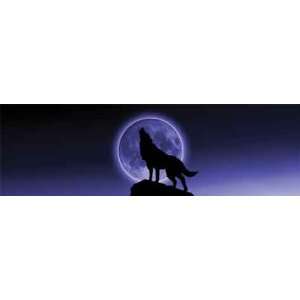  Howling at the Moon Rear Window Graphic Automotive