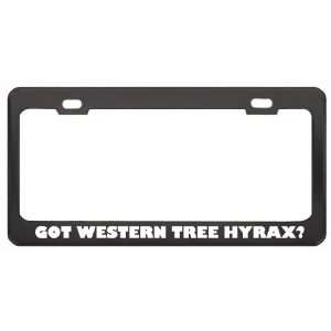 Got Western Tree Hyrax? Animals Pets Black Metal License Plate Frame 